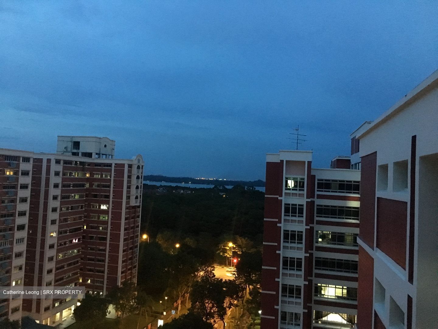Blk 581 Pasir Ris Street 53 (Pasir Ris), HDB Executive #420149331